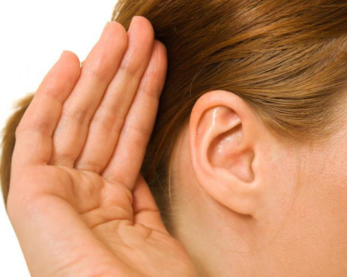 ausies nosies ausys nukreipia gydytojų apžvalgas 
